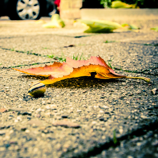 Straatscene | week 8