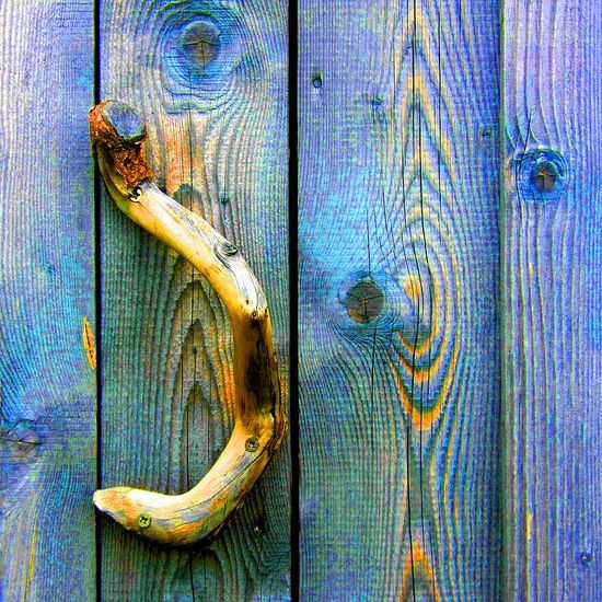 Shed door