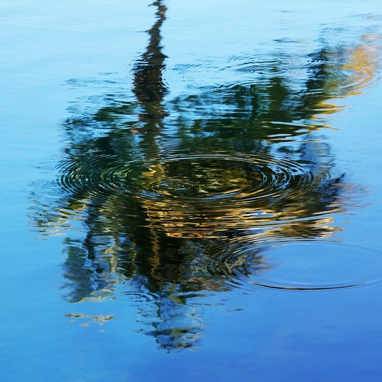 Reflectie in water (3)