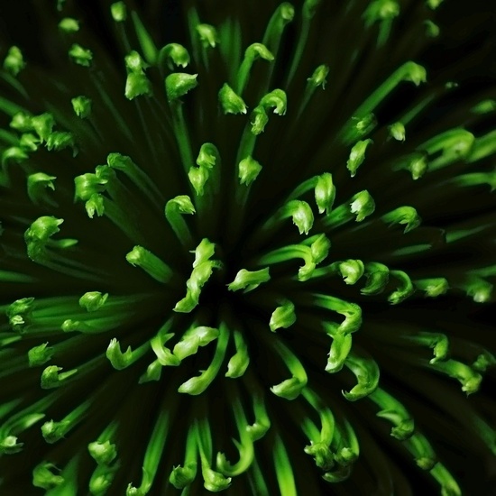 Abstract by nature 2