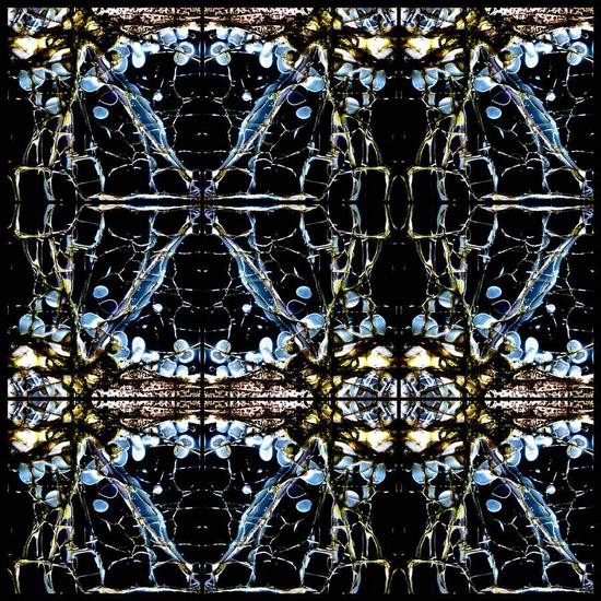 Broken glass-scope IV