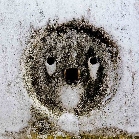 Auto-abstract 25 (slot)