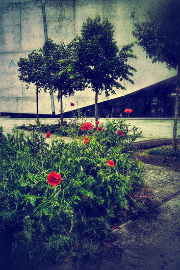 Straatstilleven | week 39