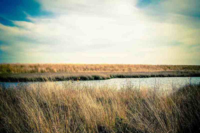 Engbertsdijksvenen 1