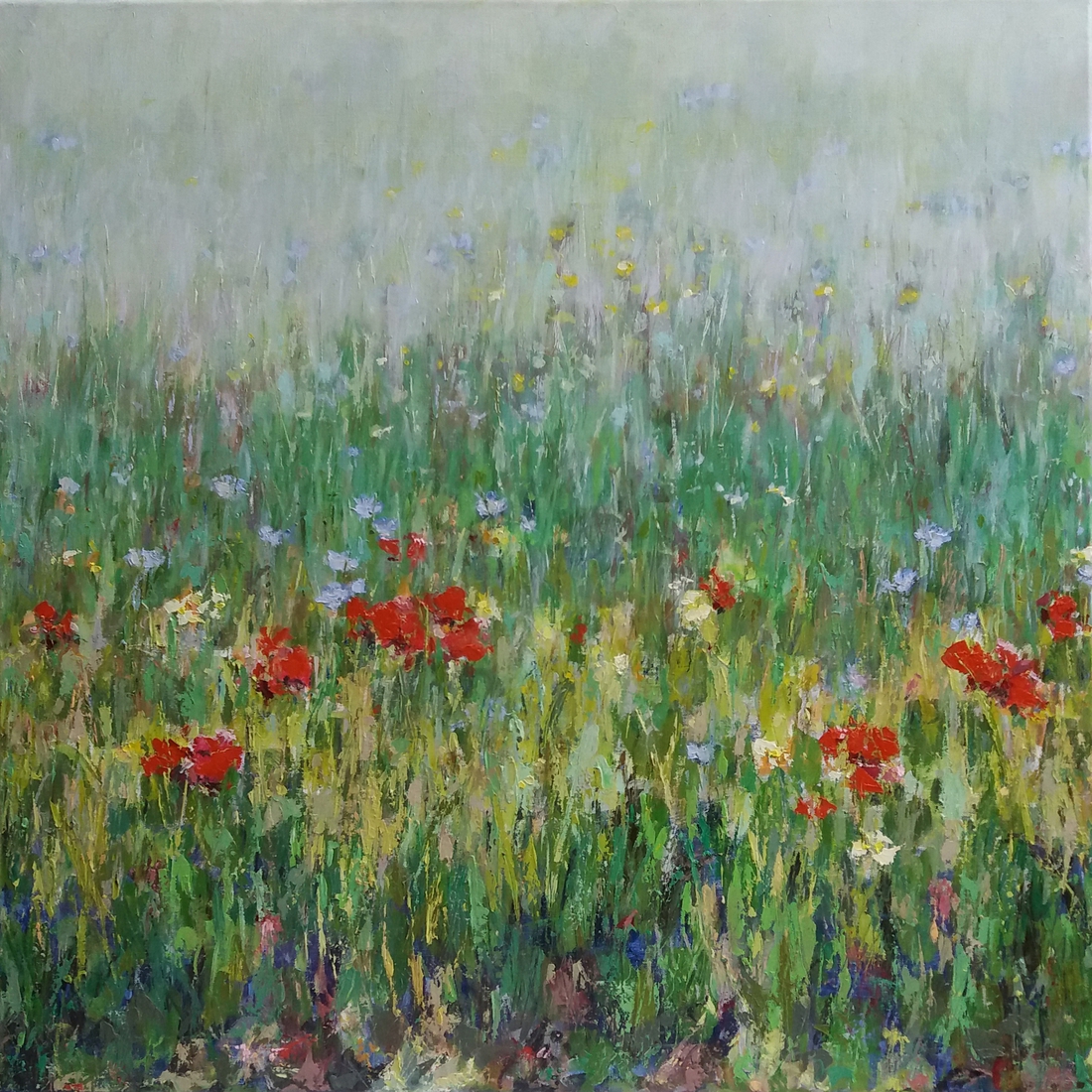 Bloemenveld met klaprozen 1