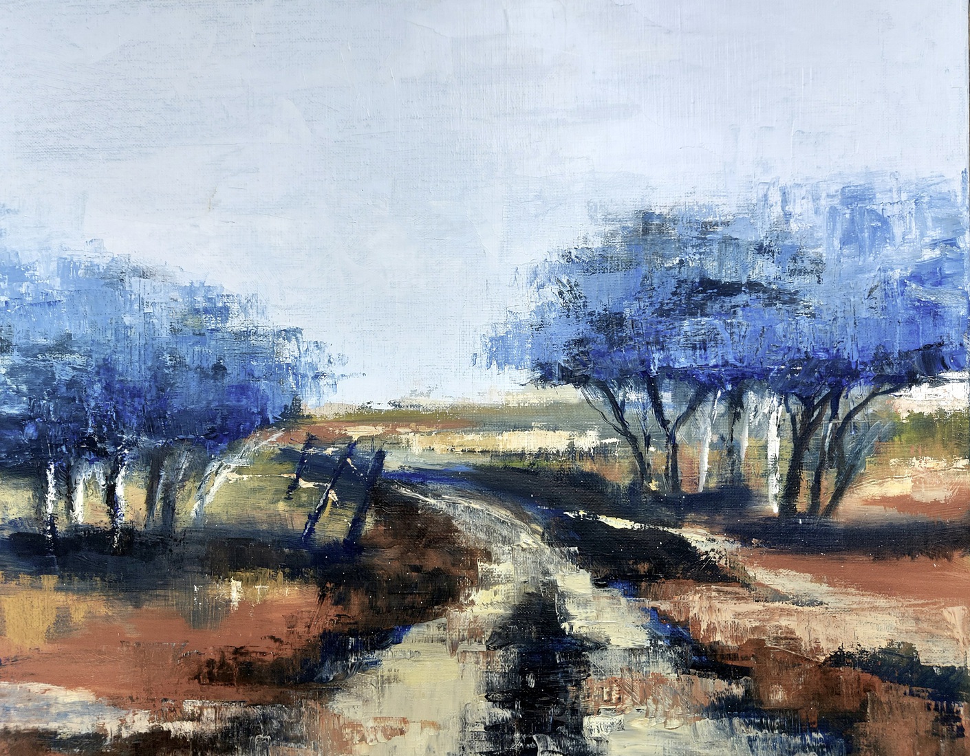 De heide bij Dwingeloo