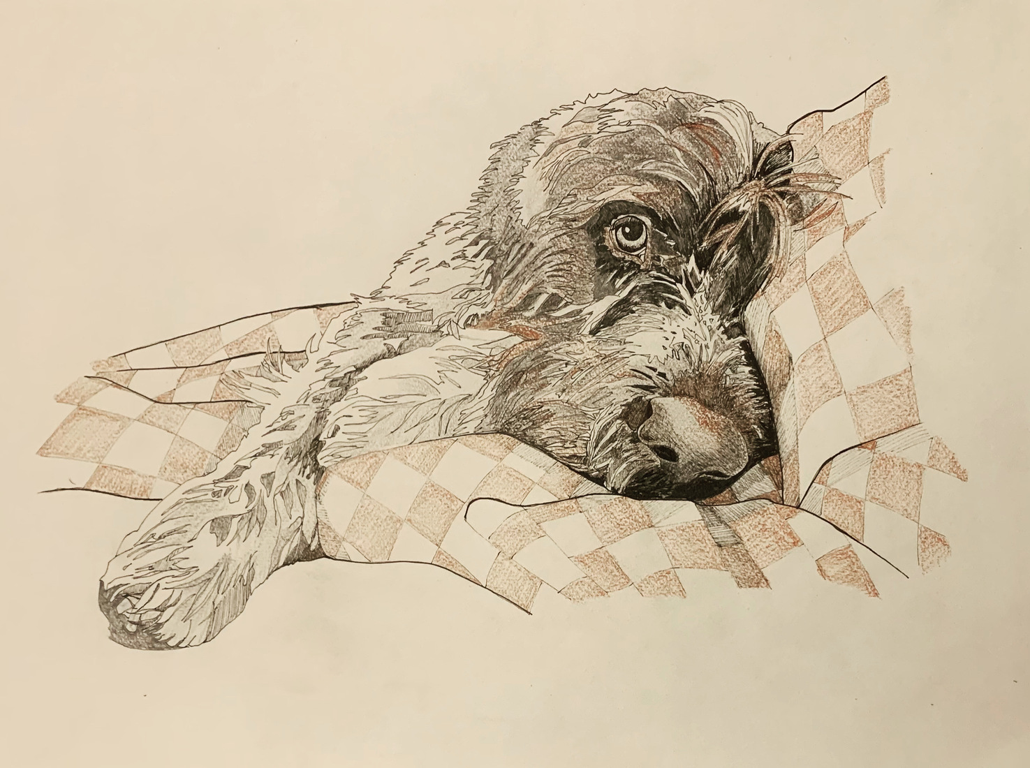 Csaba Bajusz portret