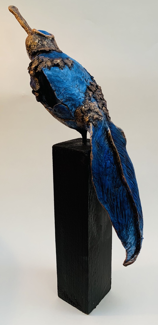 blauwe paradijsvogel