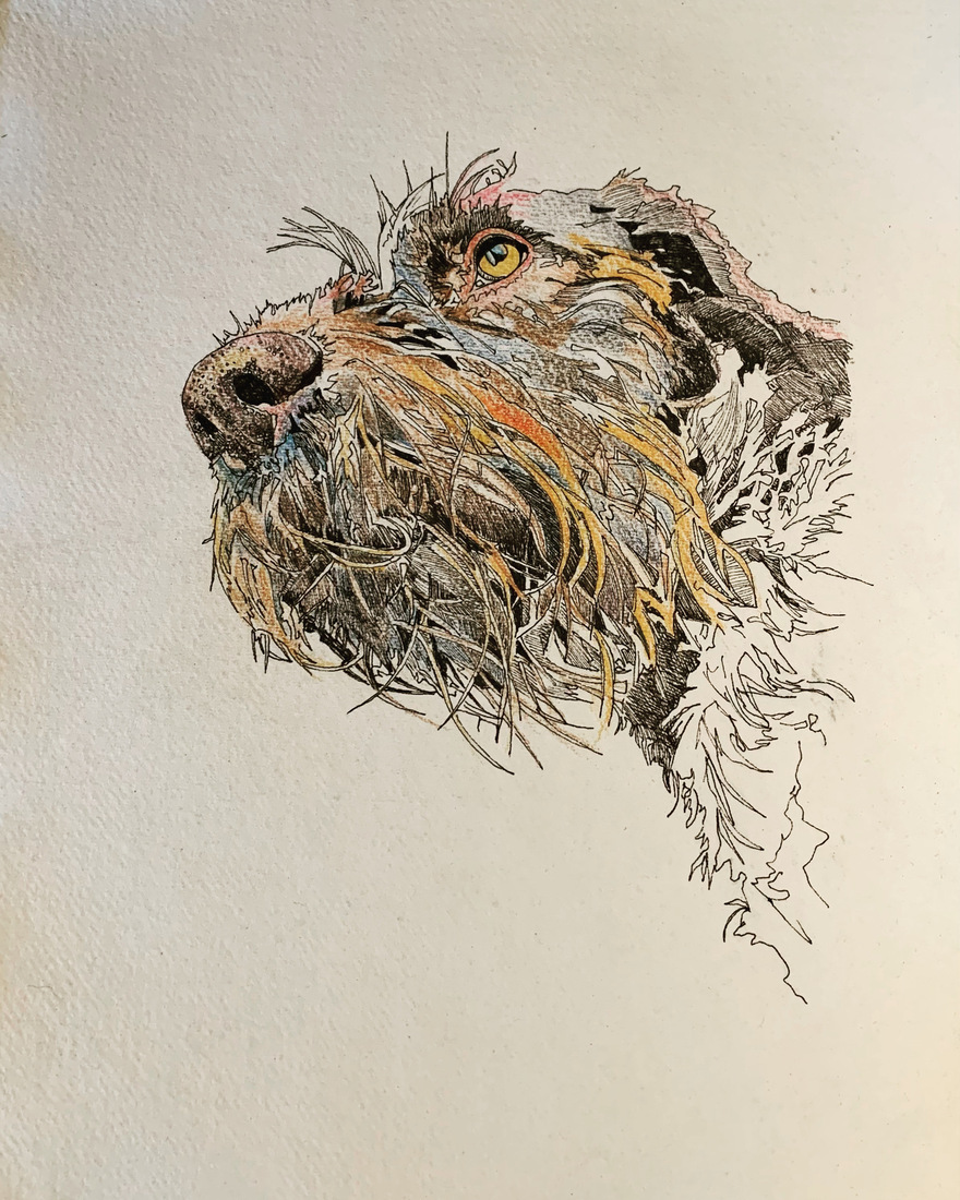 Csaba Bajusz portret 3