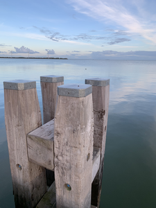 Fotografie van natuur