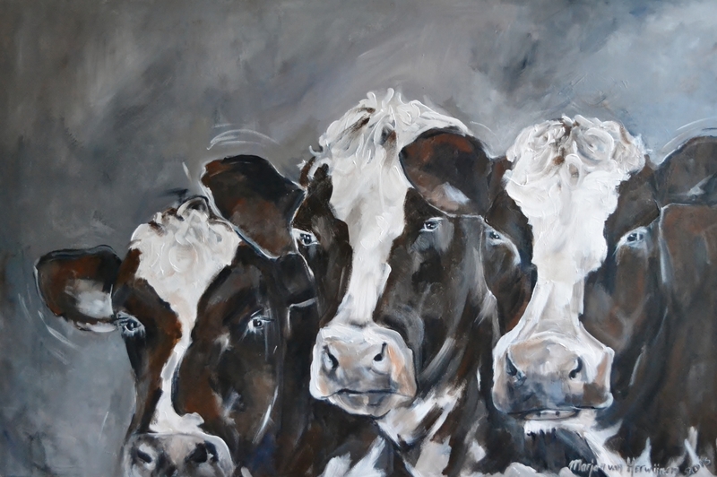 drie koeien