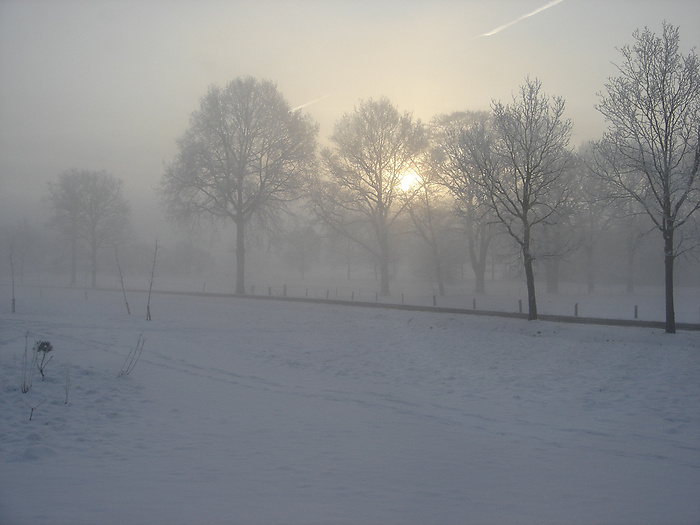 Winters
