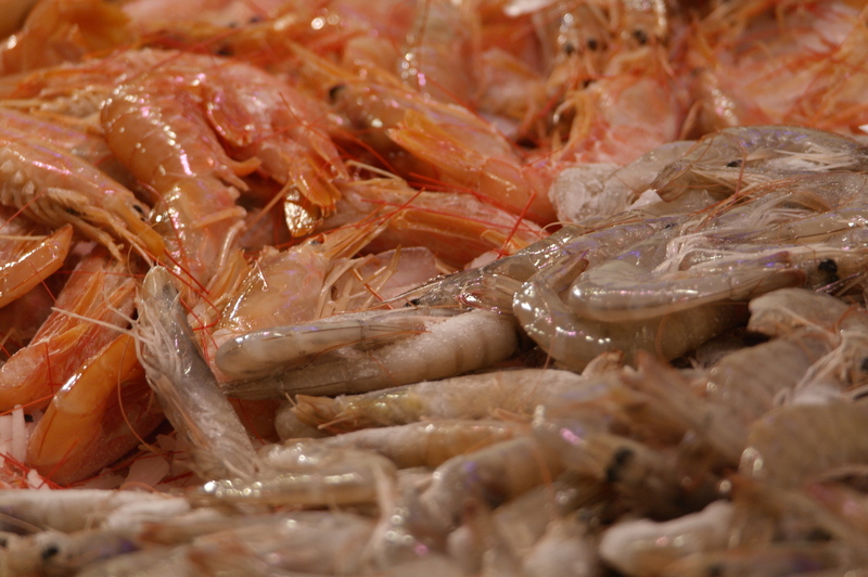 Gamba's