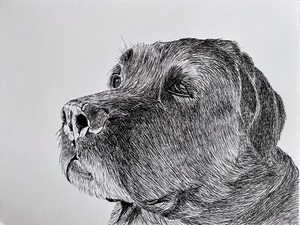 Alles wat ik gemaakt heb in 2026