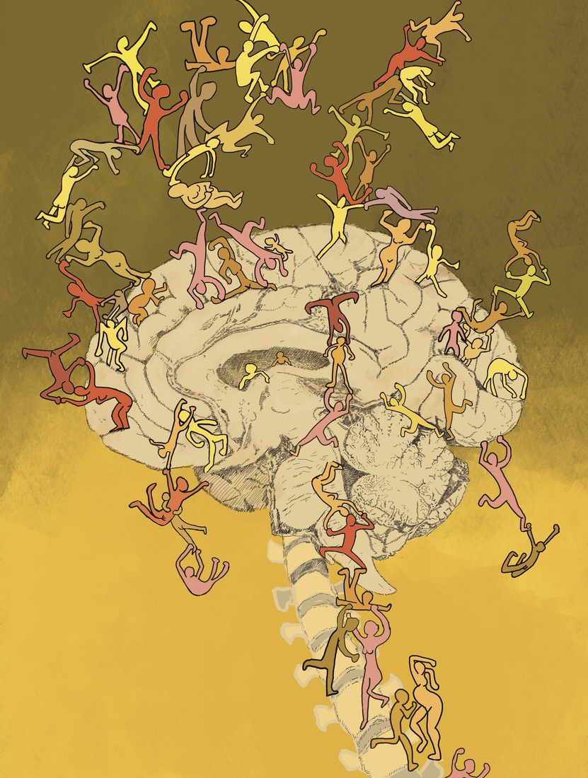 Anatomie van verbinding