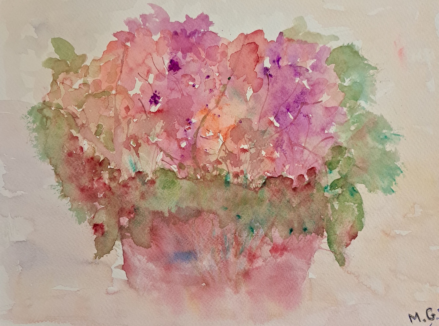 9 Hortensia's 