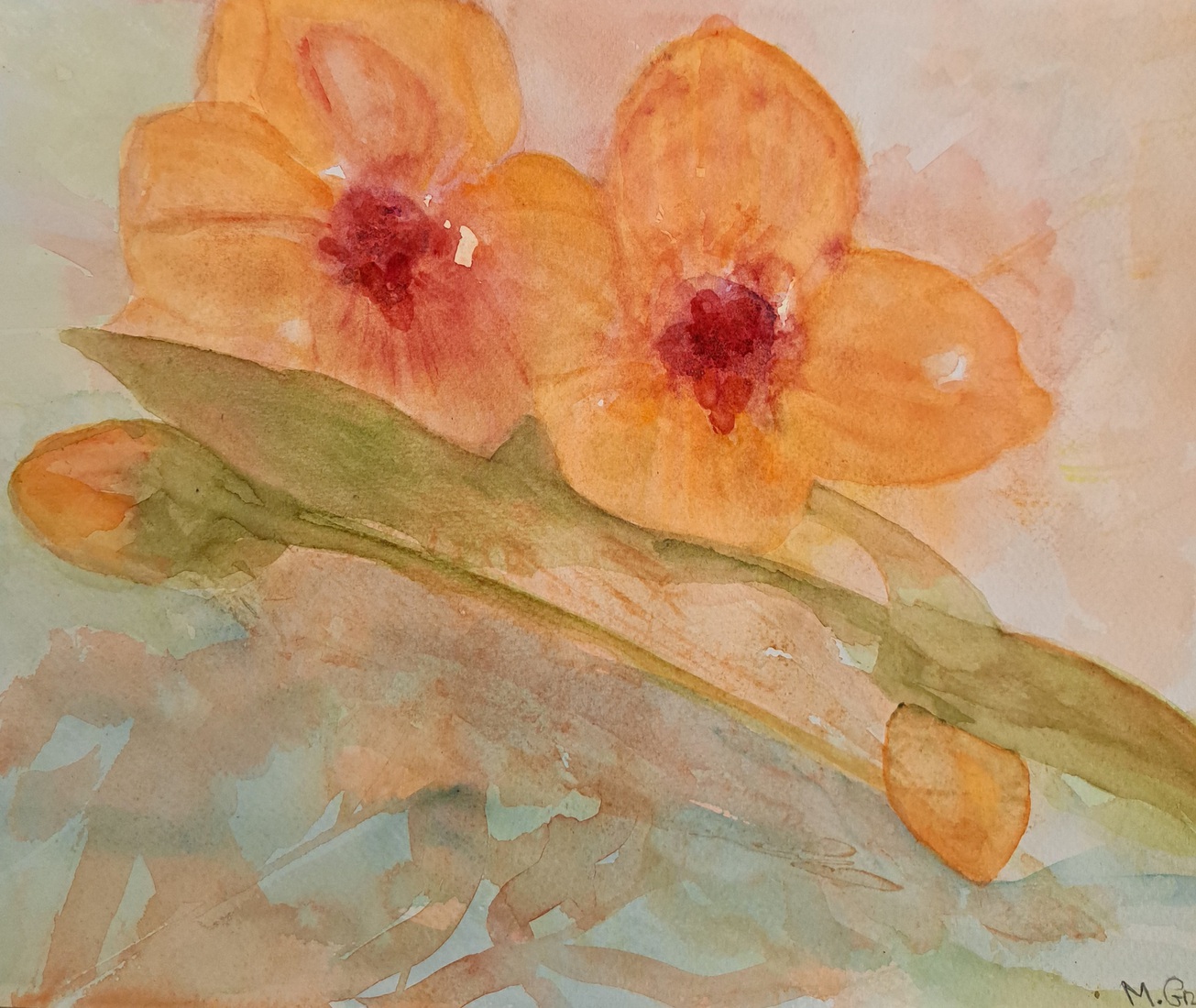 11 Orchideeën 