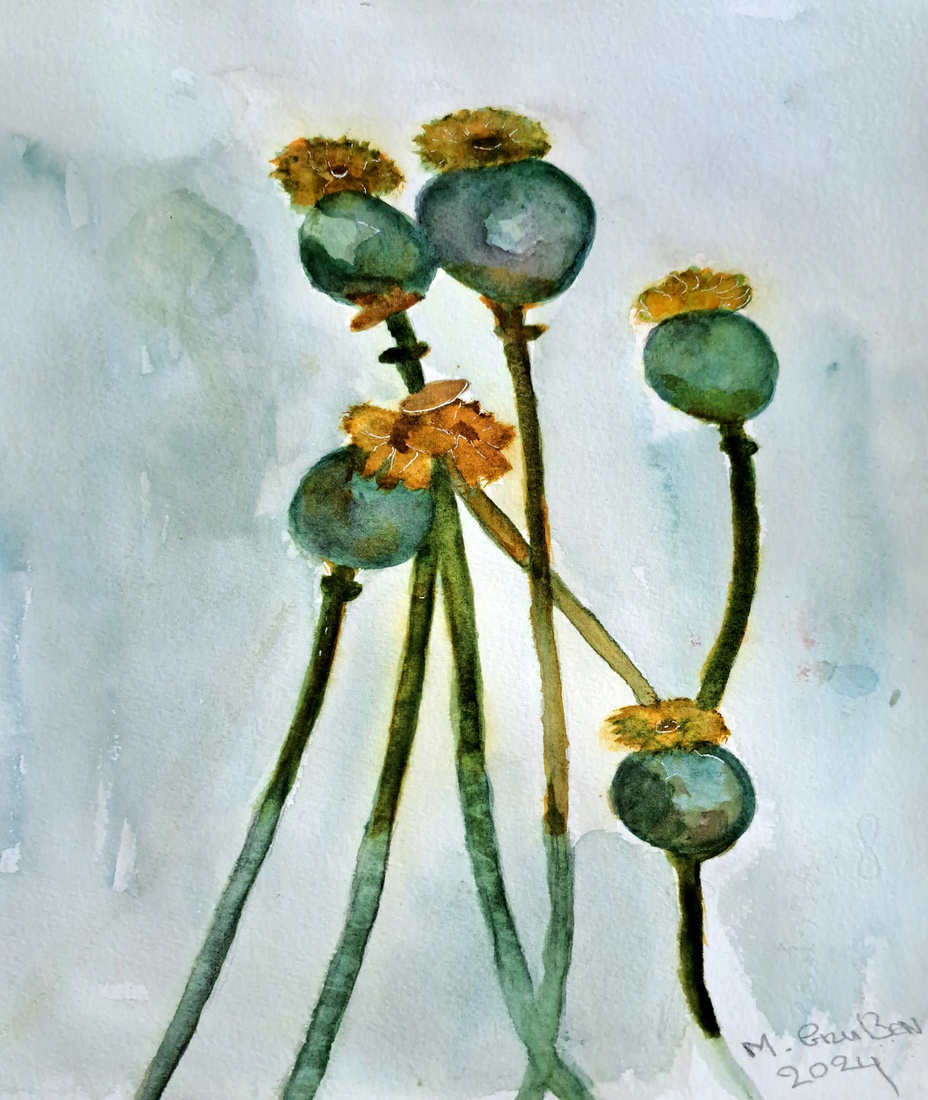 3 Papaver zaadbollen 