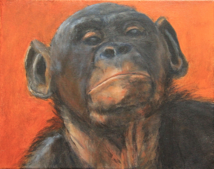 chimp