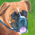 in deze groep komen huis en boerderijdieren