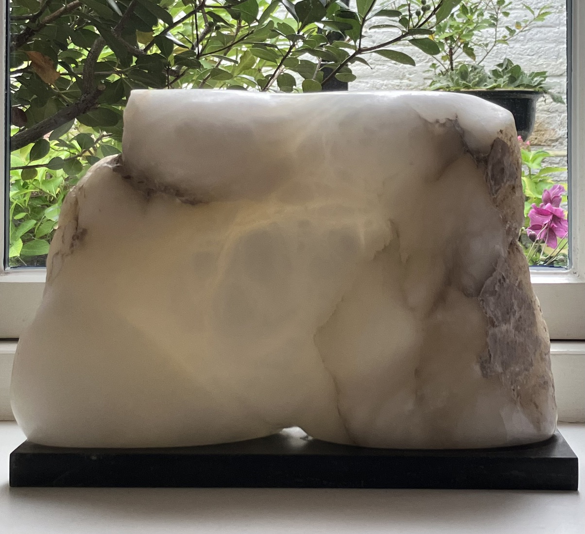 Buste - stevig en transparant 