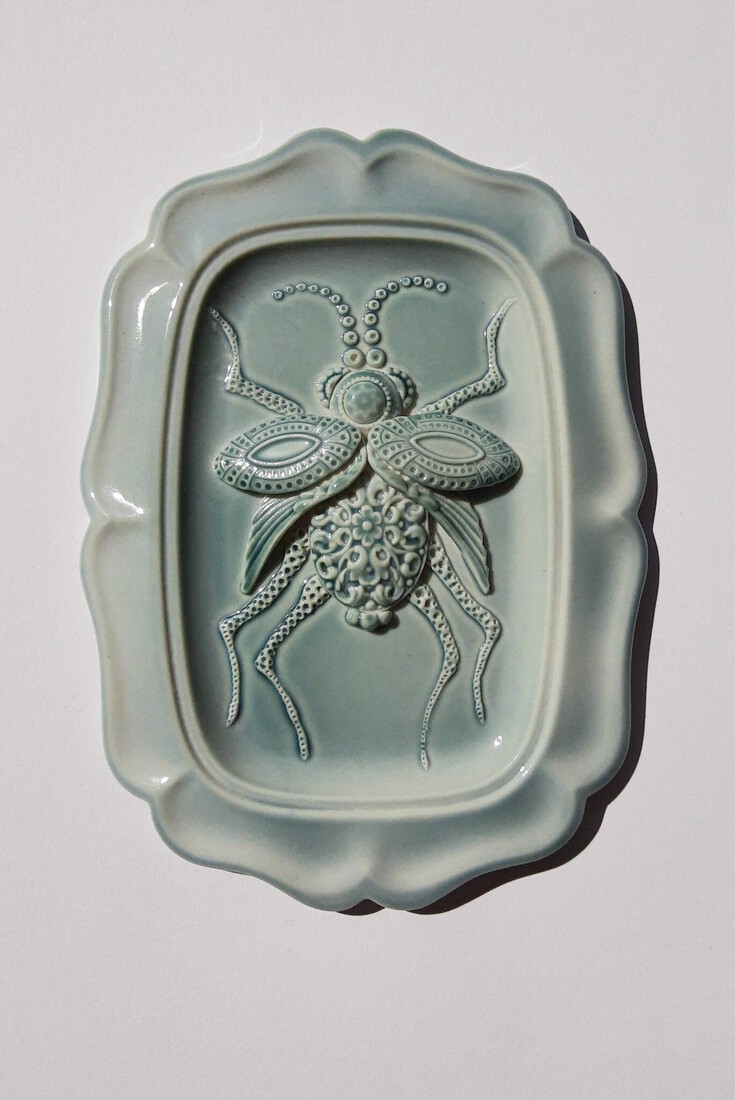 Coleoptea Aqua rechthoeking