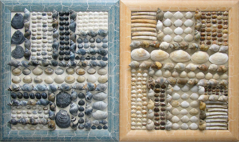 juweeltje van de zee 11