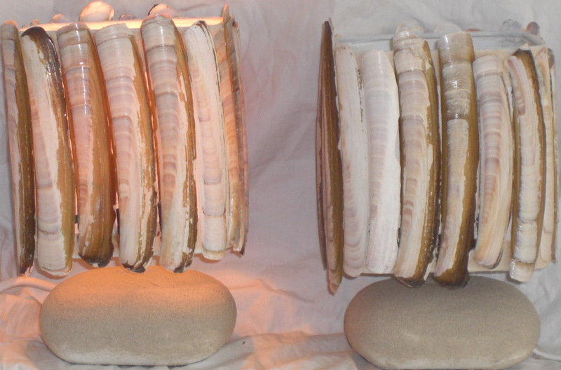 Juweeltje van de Zee 19