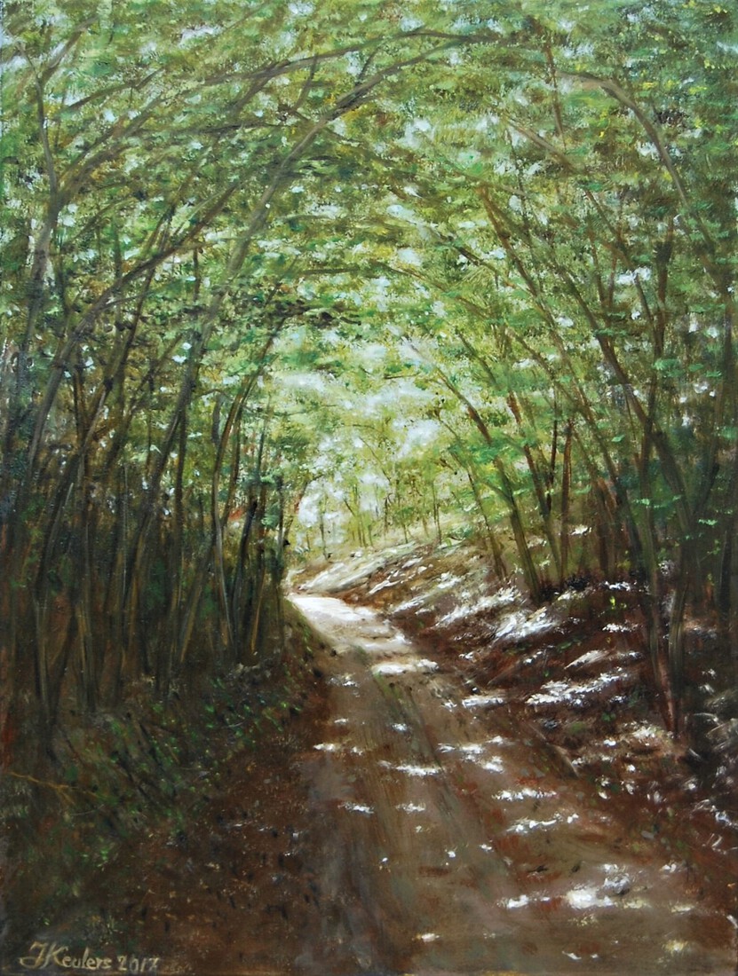 Holleweg naar Groot Genhoudt