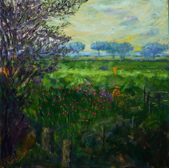 De klaprozen van buurvrouw Jantje