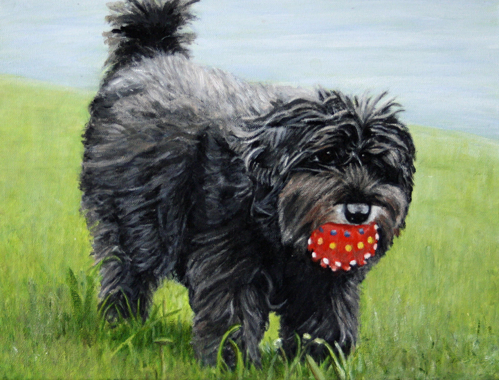 Tommy met zijn balletje