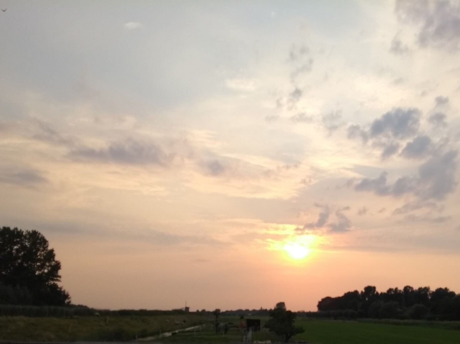 A Summer's Evening in August