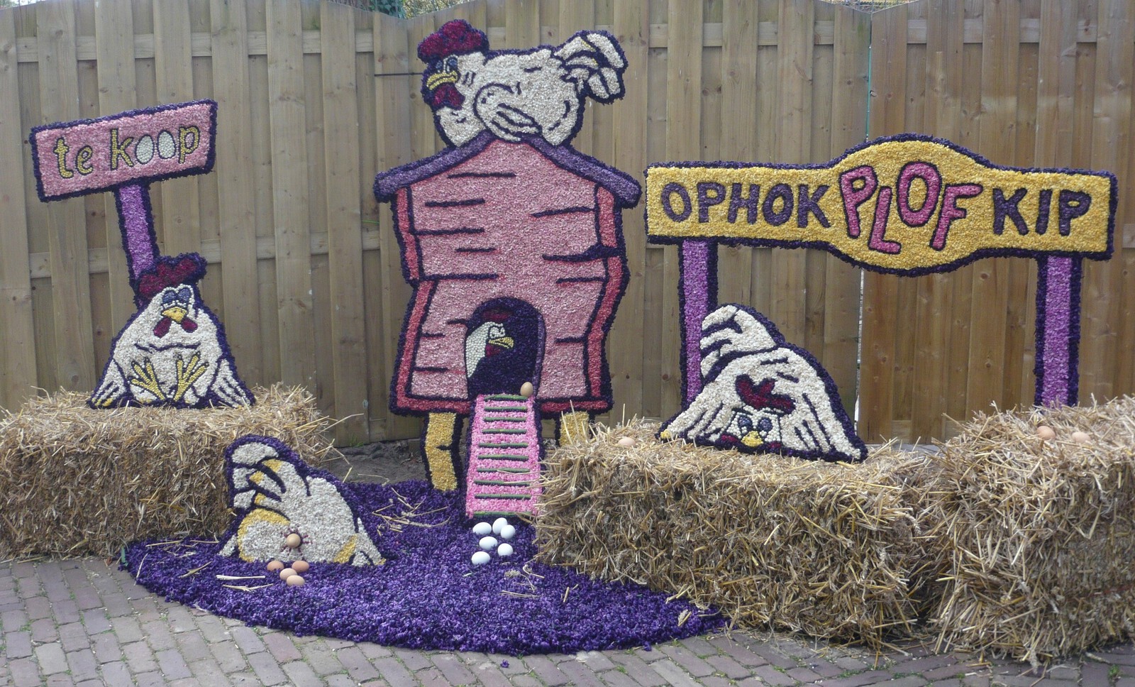 Ophokplofkip te koop.....