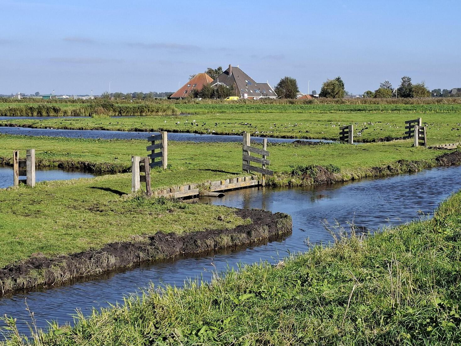De Uitgeester polder