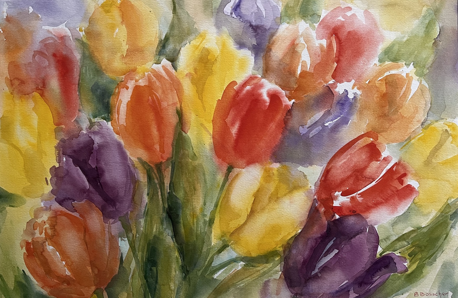 Tulpen vol van kleur