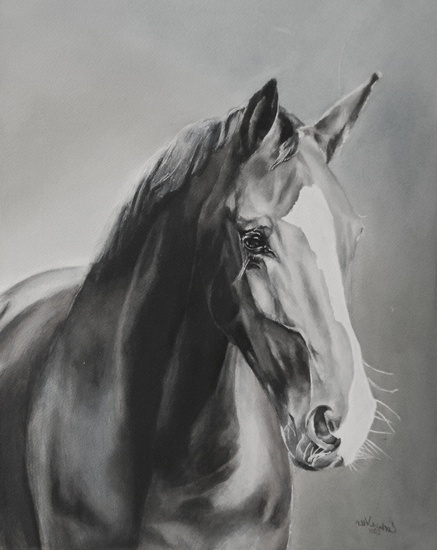 Portret paard