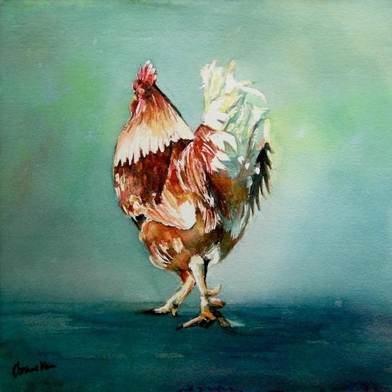 Scharreltjes: Haan I