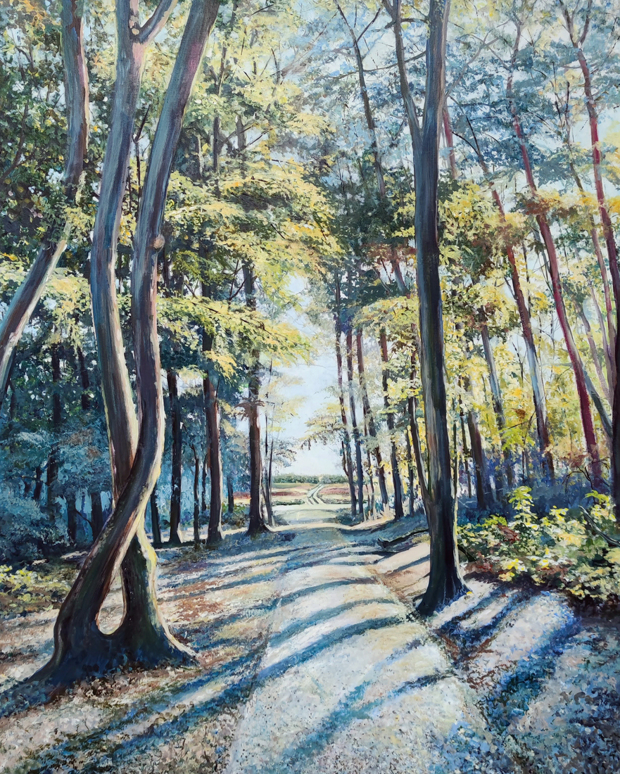 Het bospad naar de heide