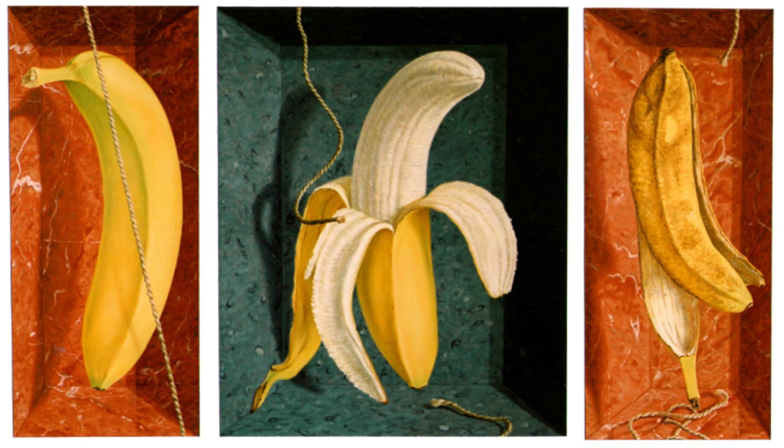 Het korte leven van een banaan