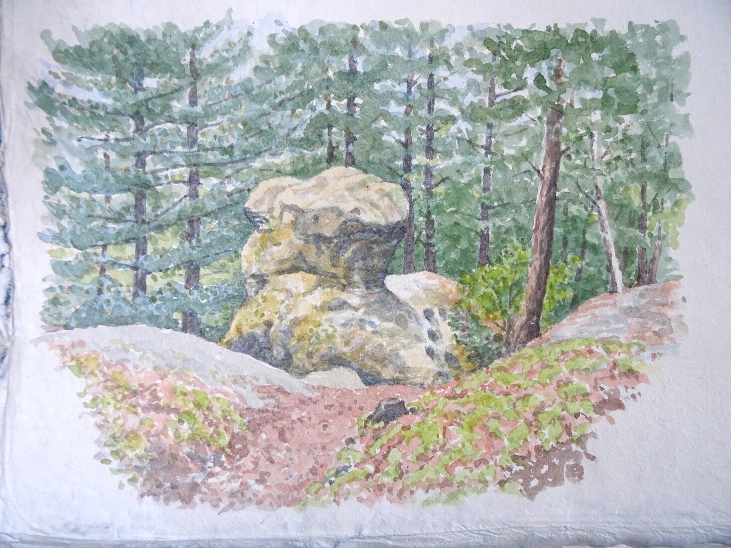 Vreemde rots in het bos