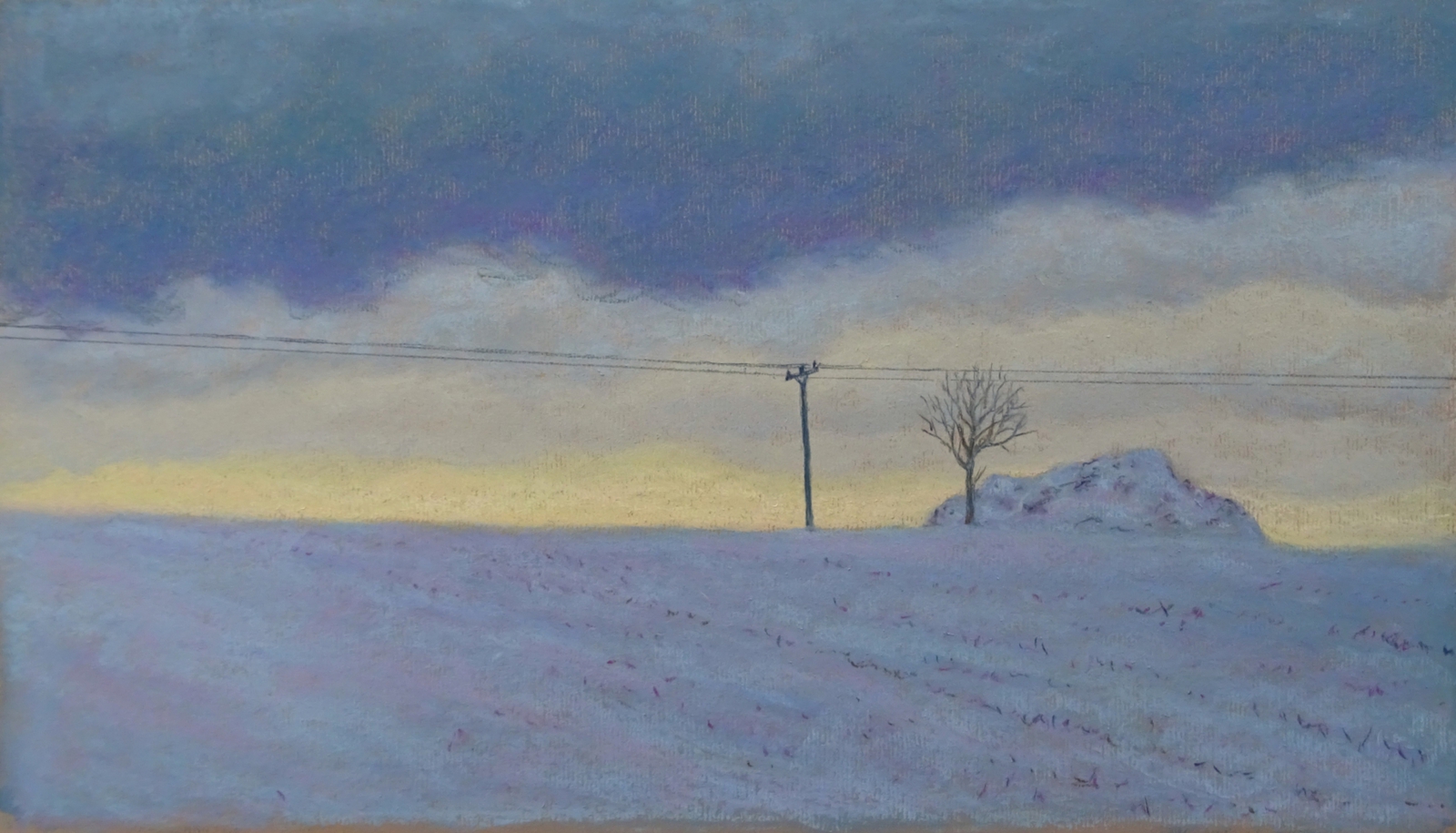 Late afternoon light