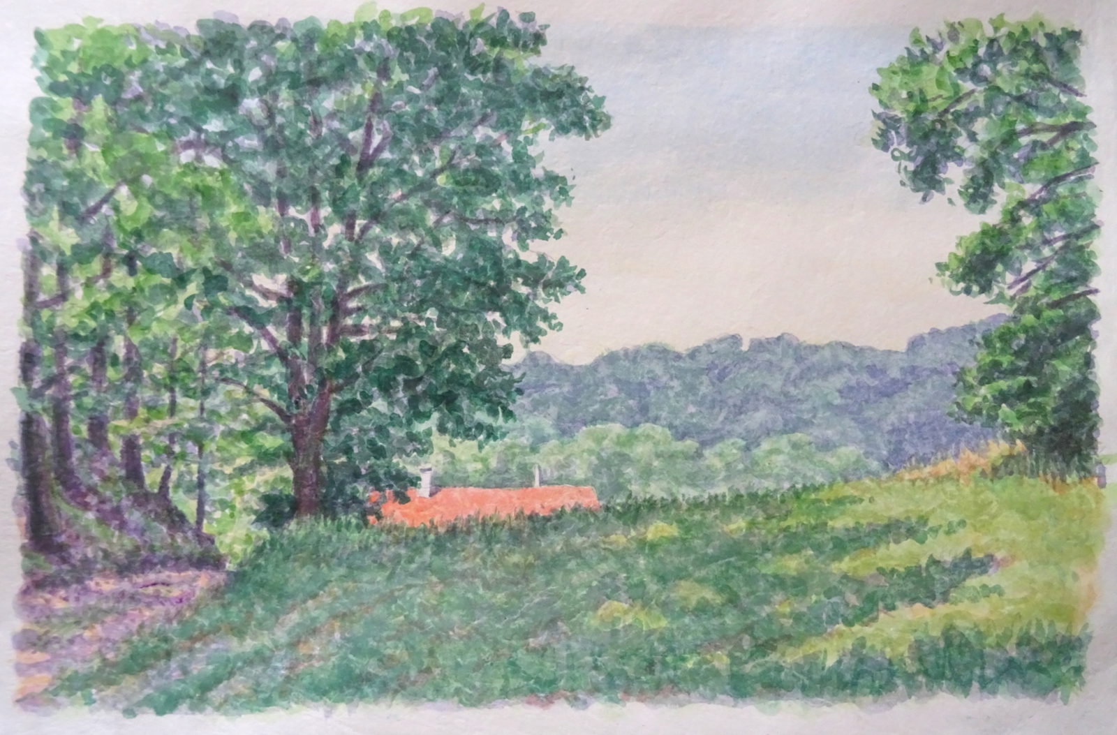 Boerderij