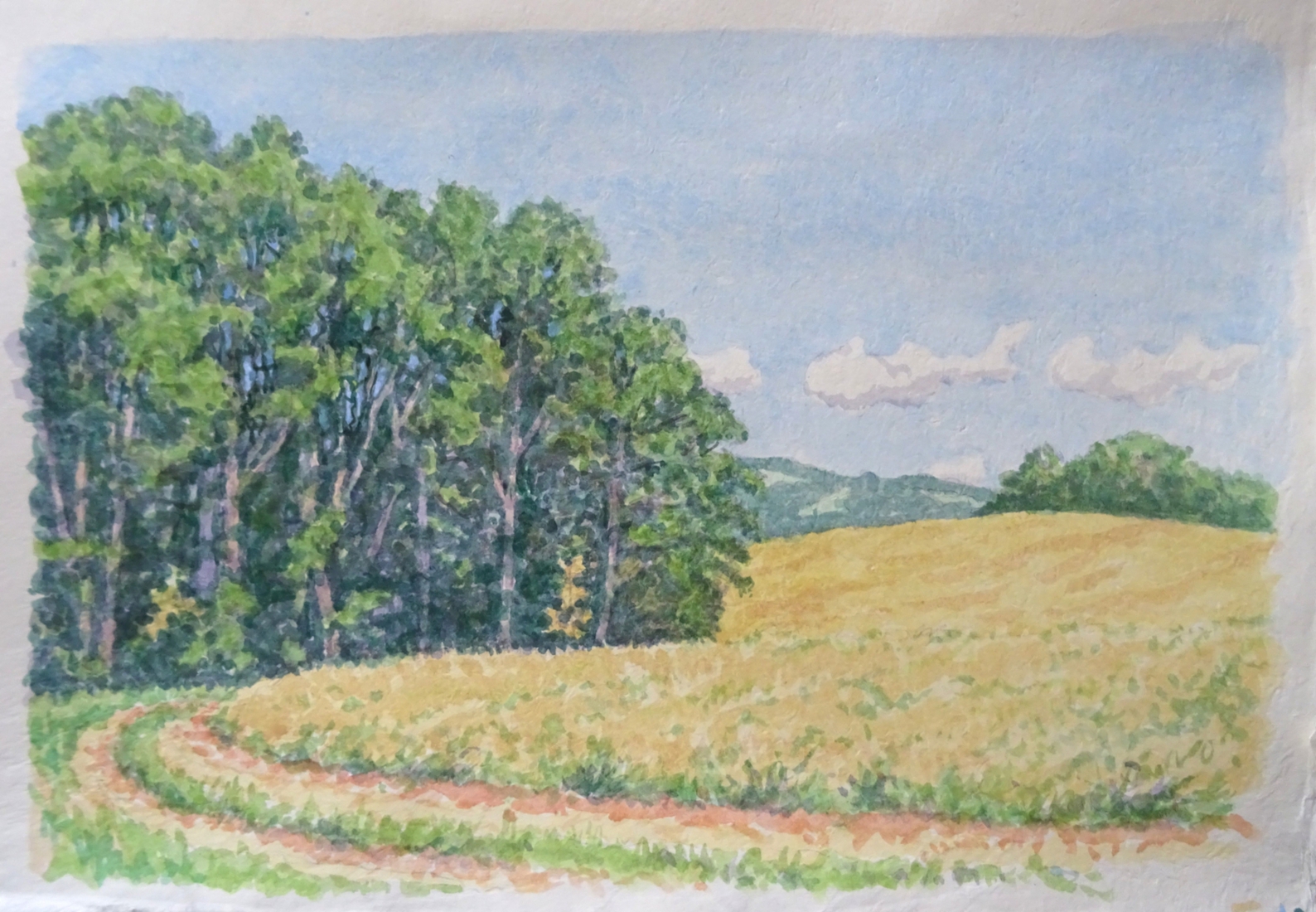 Korenveld