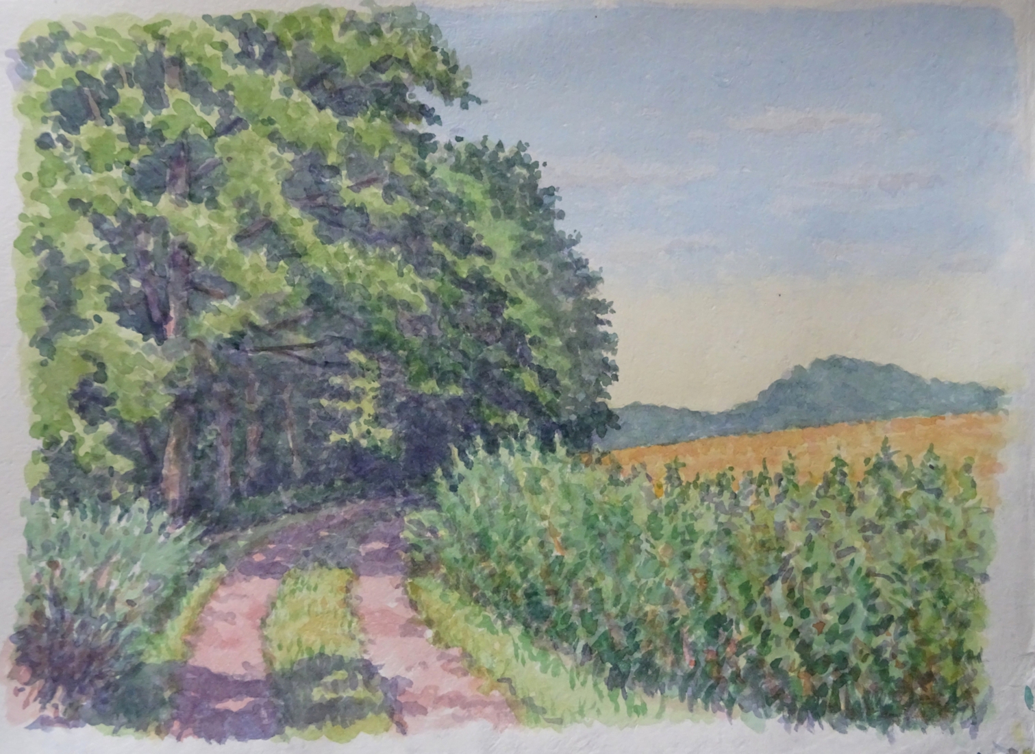 Karrespoor