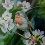 Diverse dieren, vogels, huisdieren