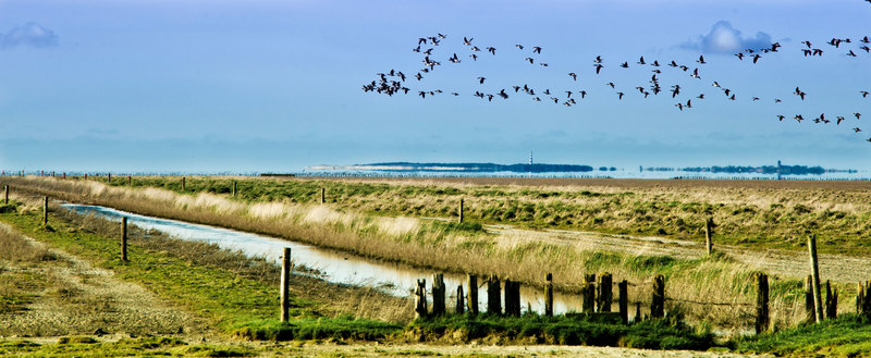 Ameland over Bildtpollen