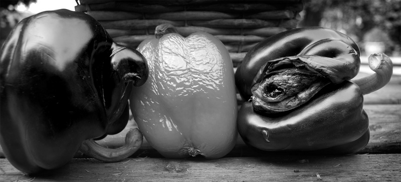 Edward Weston's dark side