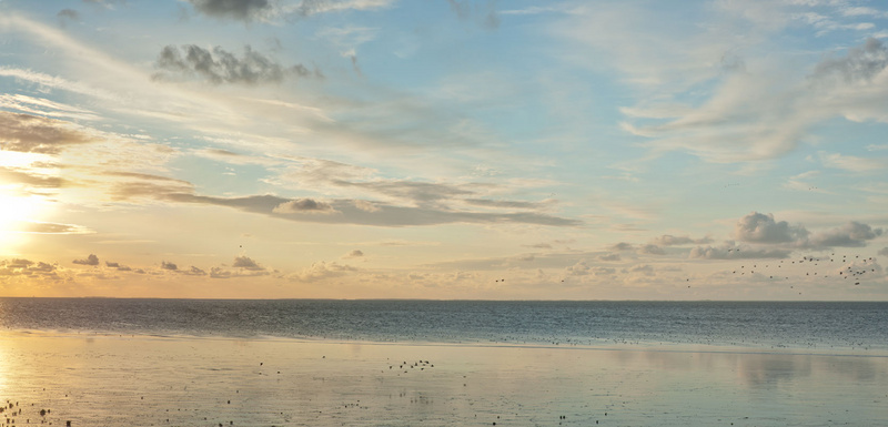 Terschellinger Wad, 270811, 21.01