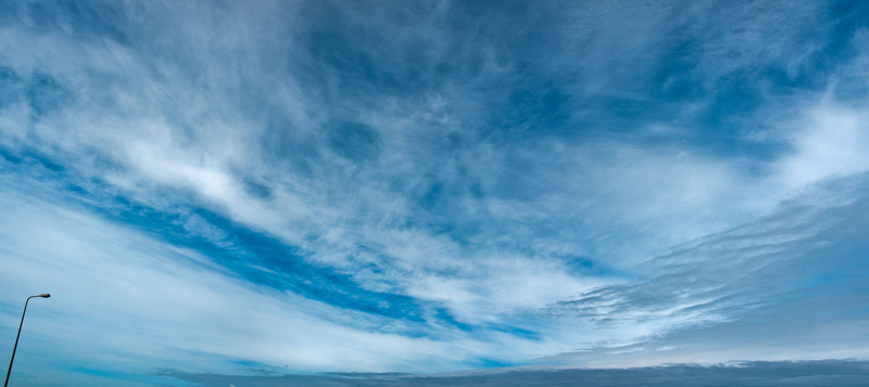 Zwarte Haan, 300811, 13.17