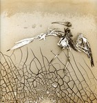 Vogelvrije fotografie op het Wad. Fugelfaai is een fraai Fries woord voor 'vogelvrij', 'faai stean' betekent echter ook 'bedreigd worden'.